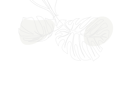 shape